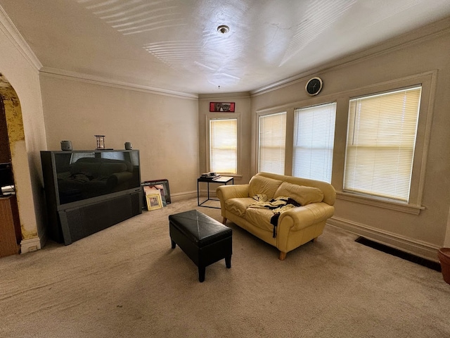 carpeted living room featuring ornamental molding