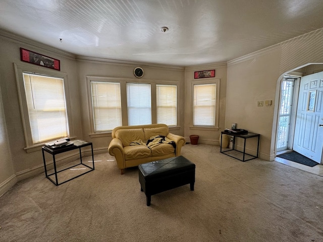 carpeted living room with crown molding