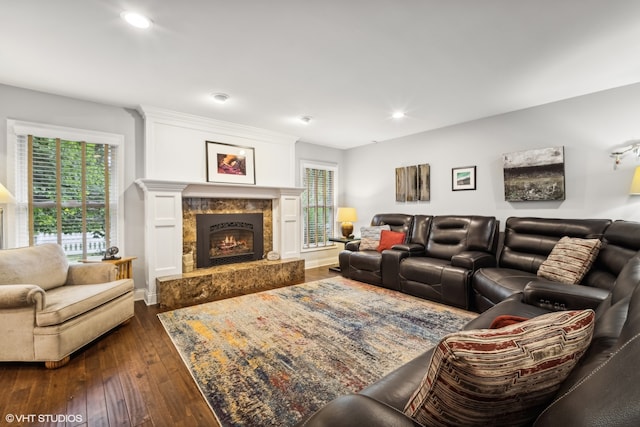 living room with a premium fireplace and dark wood-type flooring