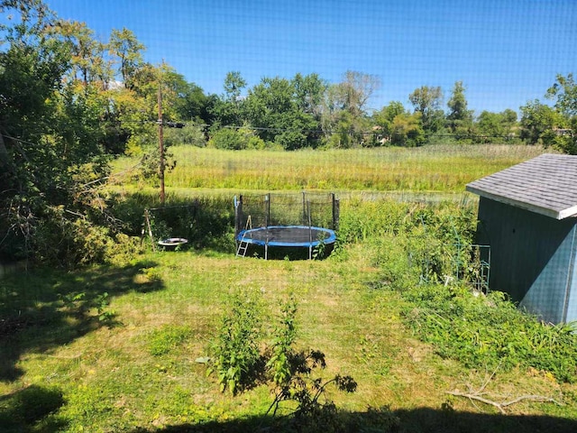 view of yard featuring a trampoline