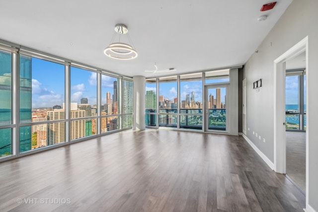 unfurnished room with a wealth of natural light, a wall of windows, and hardwood / wood-style floors