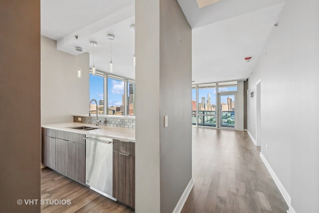 kitchen with sink, stainless steel dishwasher, floor to ceiling windows, decorative backsplash, and light hardwood / wood-style flooring