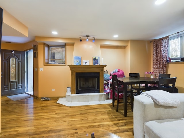 living room with hardwood / wood-style flooring