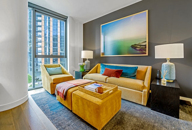 211 N Harbor Dr Unit 805, Chicago, IL 60601 - living room featuring wood-type flooring and a wall of windows