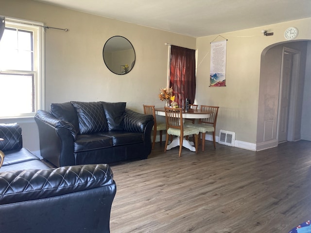 living room featuring a healthy amount of sunlight and wood-type flooring