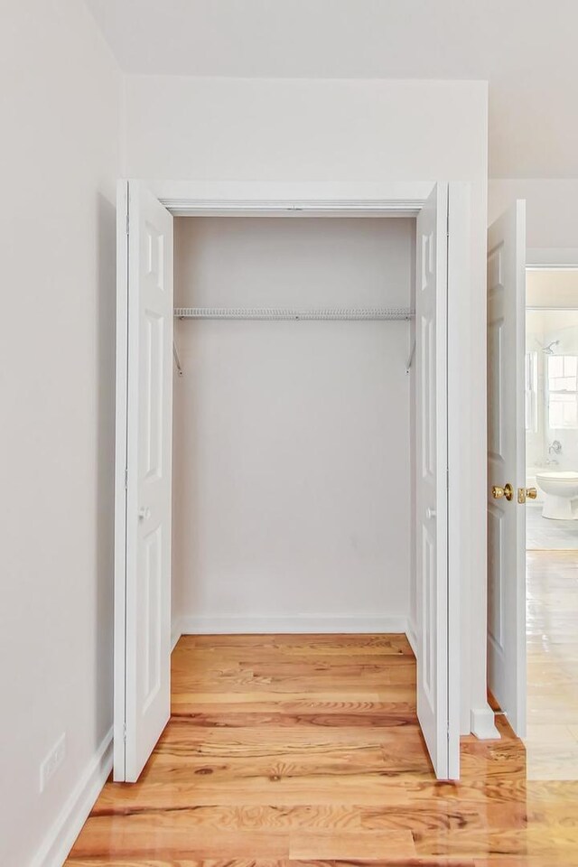 8251 S E End Ave, Chicago, IL 60617 - view of closet