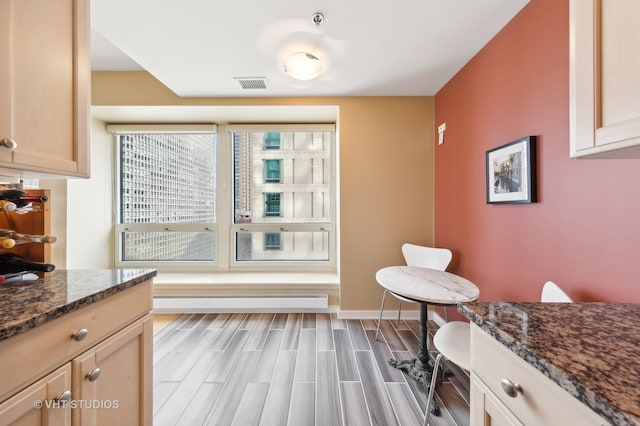 interior space featuring light hardwood / wood-style flooring and a baseboard radiator