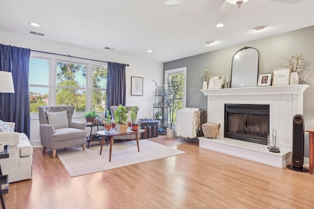 living room featuring ceiling fan and wood-type flooring