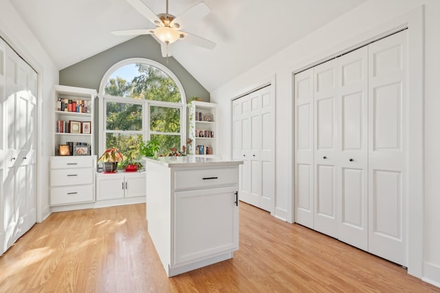 interior space featuring light hardwood / wood-style floors, ceiling fan, and vaulted ceiling