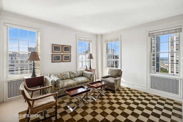 living room with crown molding and radiator heating unit