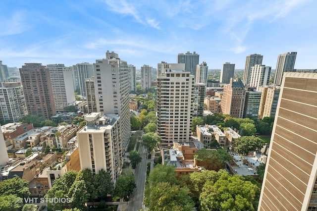 1500 N Lake Shore Dr Unit 22A, Chicago, IL 60610 - photo 26