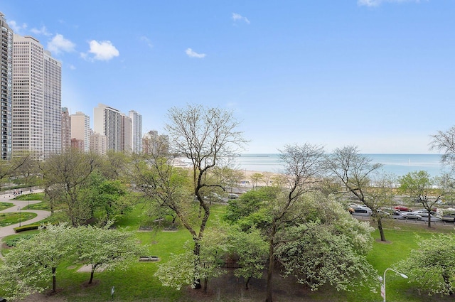 179 E Lake Shore Dr Unit 502, Chicago, IL 60611 - photo 24