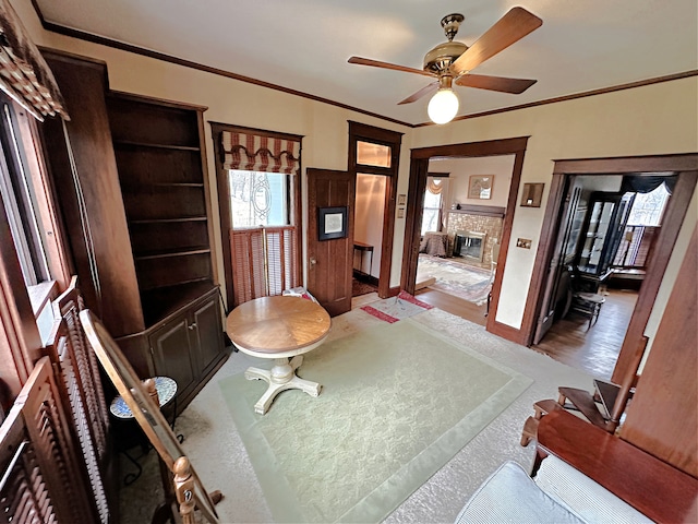 living area with ceiling fan, a fireplace, ornamental molding, and light hardwood / wood-style flooring