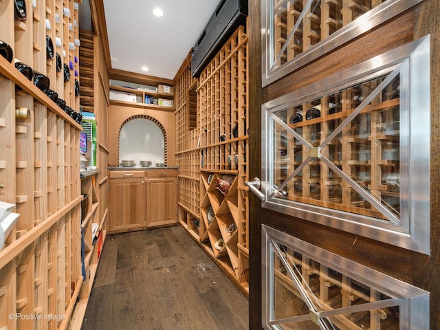 wine cellar featuring dark wood-type flooring