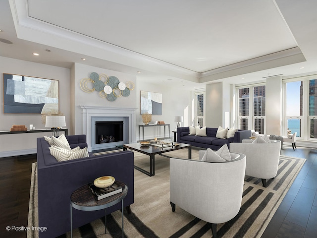 living room featuring hardwood / wood-style flooring and a raised ceiling