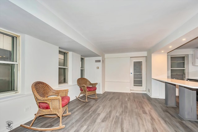 living area featuring wood-type flooring