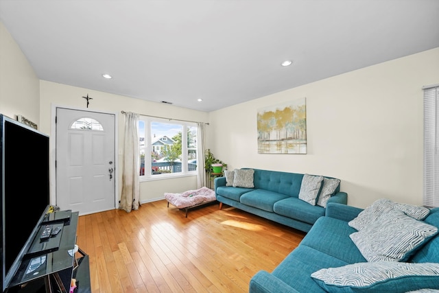 living room featuring wood-type flooring