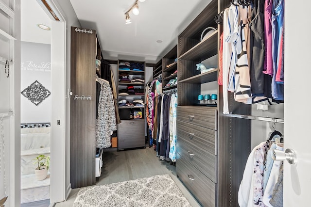 walk in closet featuring light wood-type flooring