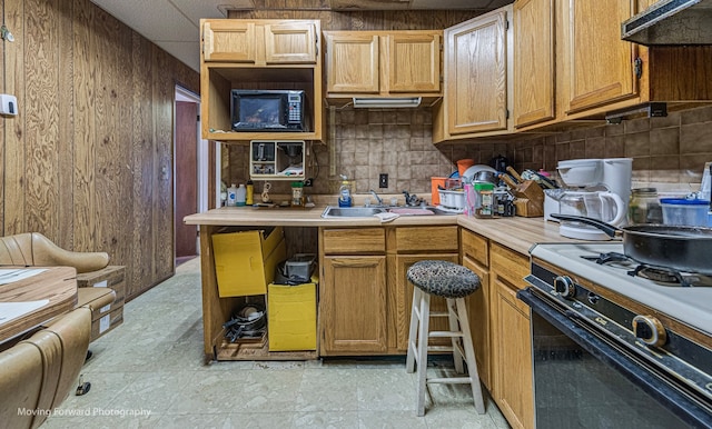 kitchen with black appliances and sink