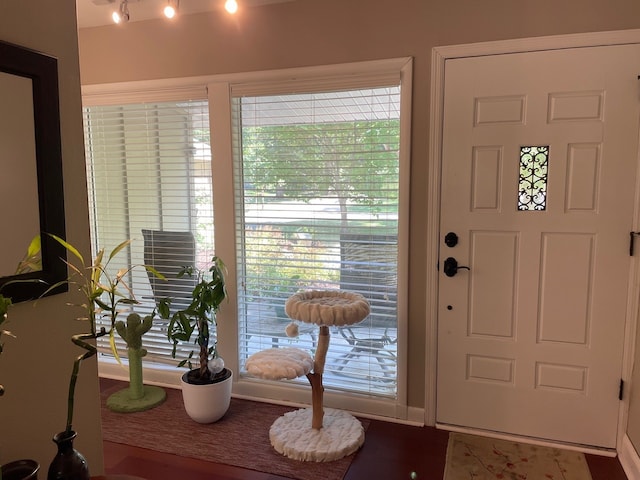 foyer entrance featuring a healthy amount of sunlight