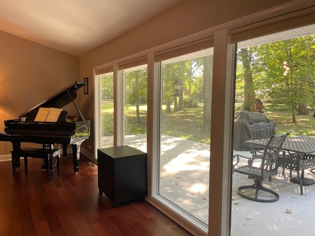 interior space with dark wood-type flooring