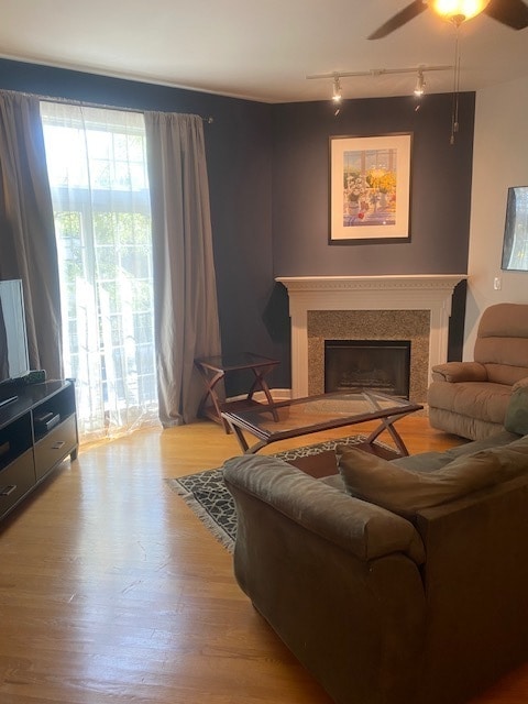 living room with ceiling fan, light wood-type flooring, and track lighting