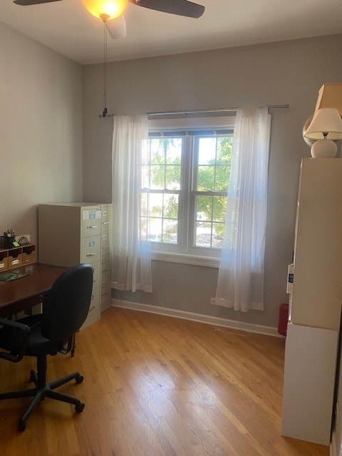 office space featuring ceiling fan and light wood-type flooring