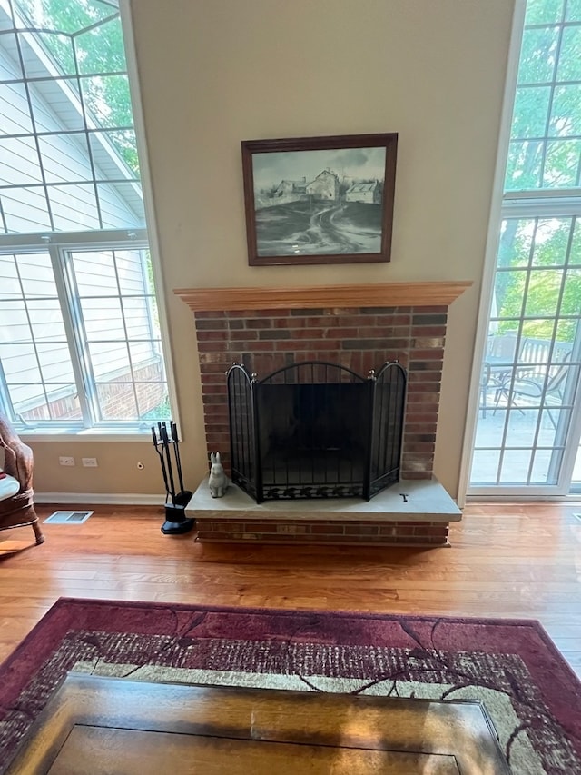 details featuring hardwood / wood-style floors and a fireplace