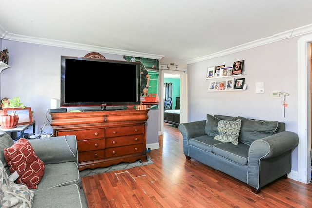 living room featuring crown molding and dark wood-type flooring