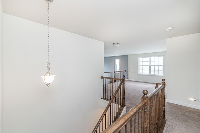 12740 Timber Wood Cir, Plainfield, IL 60585 - hall with carpet flooring, an upstairs landing, and baseboards