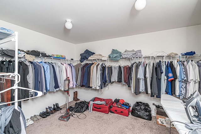 12740 Timber Wood Cir, Plainfield, IL 60585 - walk in closet with carpet flooring