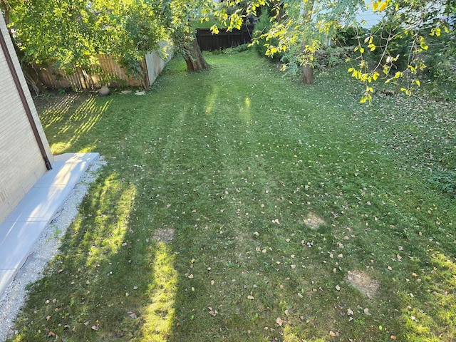 view of yard