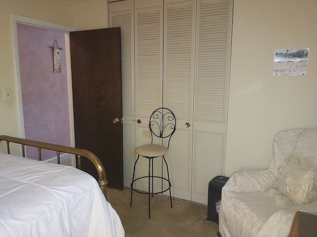 bedroom featuring a closet and carpet floors