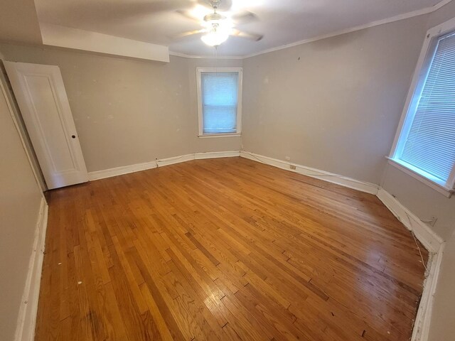 unfurnished room with a wealth of natural light, light hardwood / wood-style flooring, ceiling fan, and crown molding