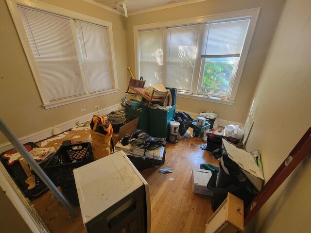 miscellaneous room featuring light hardwood / wood-style floors and crown molding