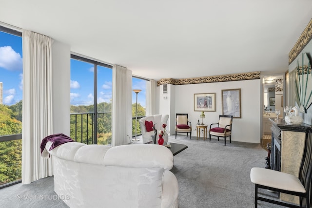 carpeted living room with a wall of windows