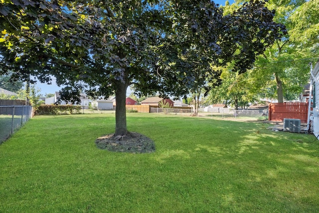 view of yard featuring central air condition unit