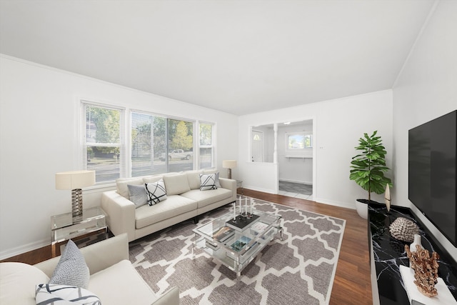 living room featuring dark hardwood / wood-style floors