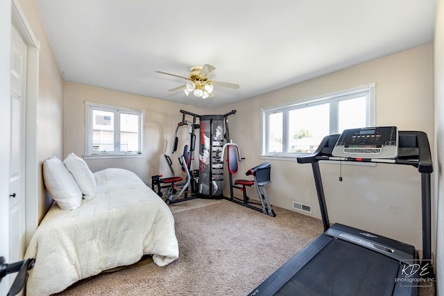 bedroom featuring multiple windows, ceiling fan, and carpet floors