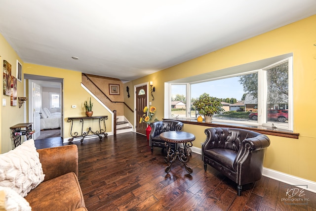 living room featuring hardwood / wood-style flooring