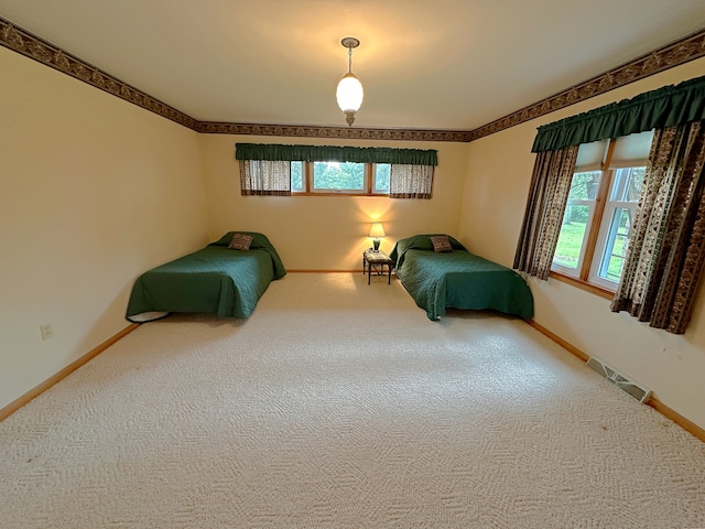 unfurnished bedroom featuring multiple windows and carpet flooring