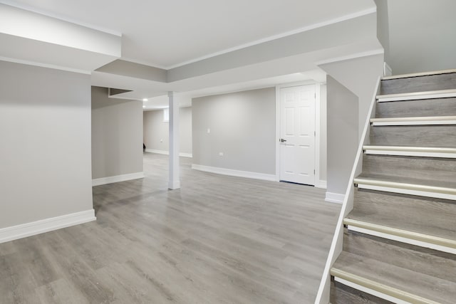 basement featuring wood-type flooring