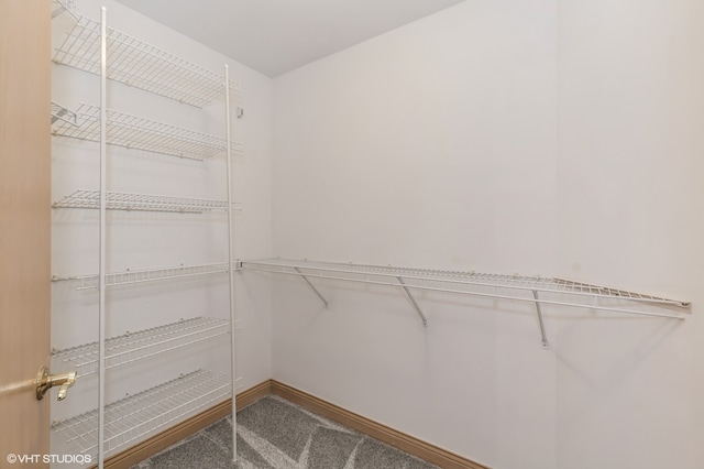 walk in closet featuring carpet floors