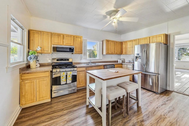 kitchen featuring ceiling fan, appliances with stainless steel finishes, plenty of natural light, and wood-type flooring