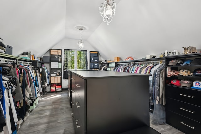 spacious closet with vaulted ceiling and hardwood / wood-style flooring