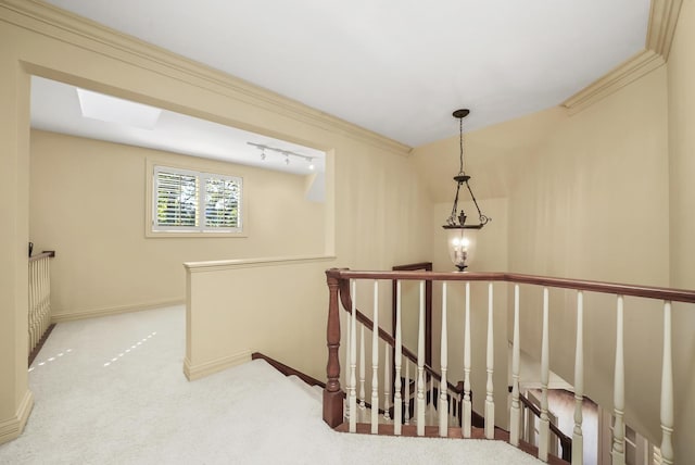 stairway featuring crown molding and carpet floors