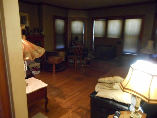 living room featuring dark hardwood / wood-style flooring