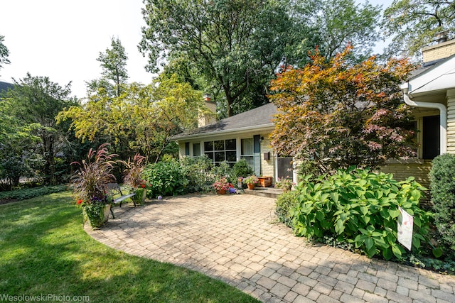 view of front facade with a patio area and a front lawn