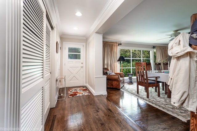 entrance foyer with dark wood-type flooring, ceiling fan, and ornamental molding