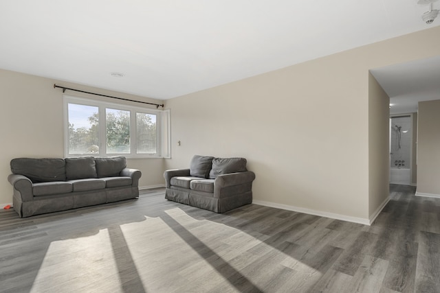 living room featuring hardwood / wood-style floors